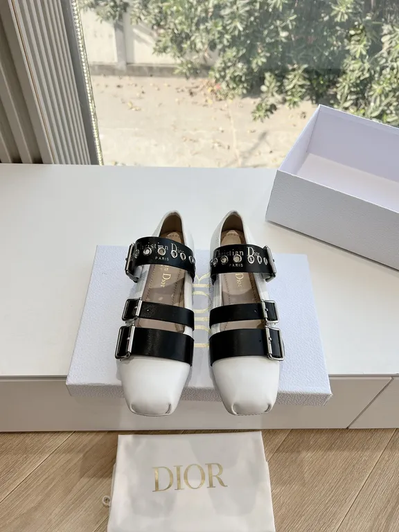 Dior Shoe 